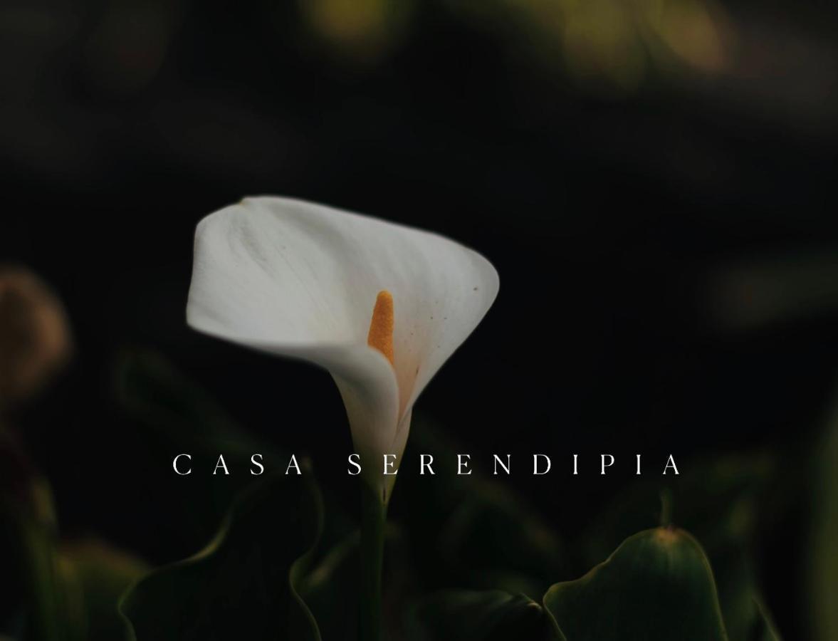 Casa Serendipia La Asomada  외부 사진
